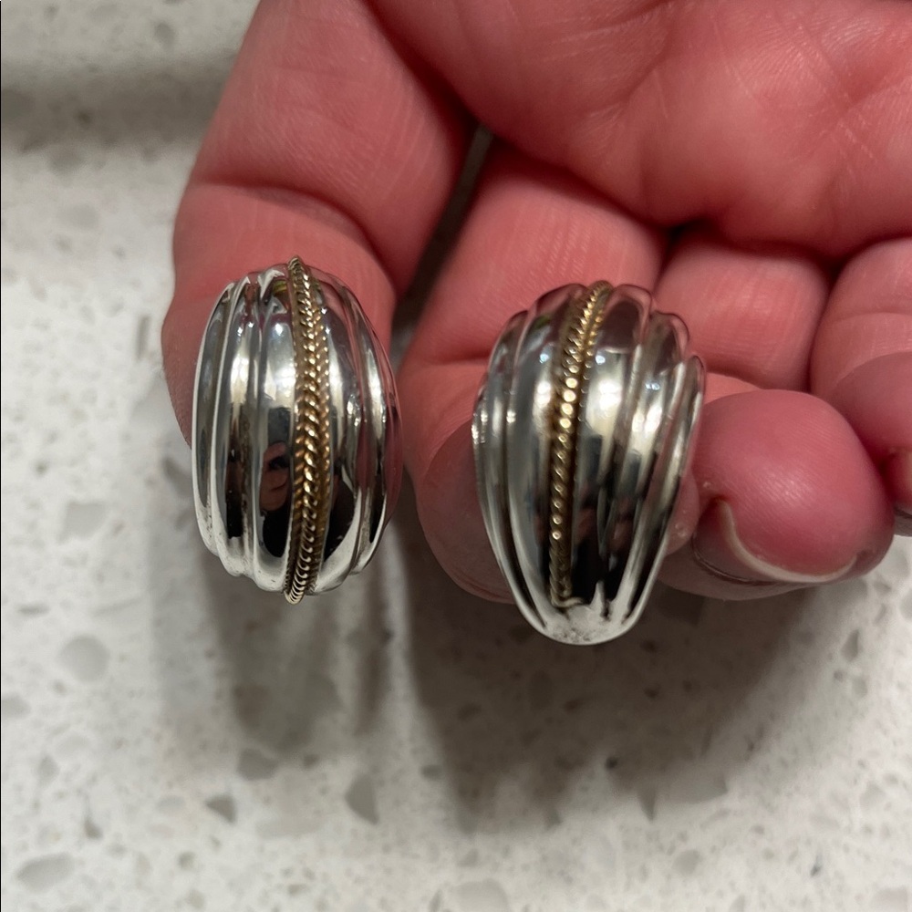 Elegant Silver and Gold Women's Earrings